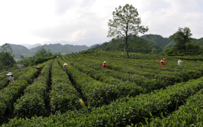 ok138太阳集团?(中国)有限公司官网